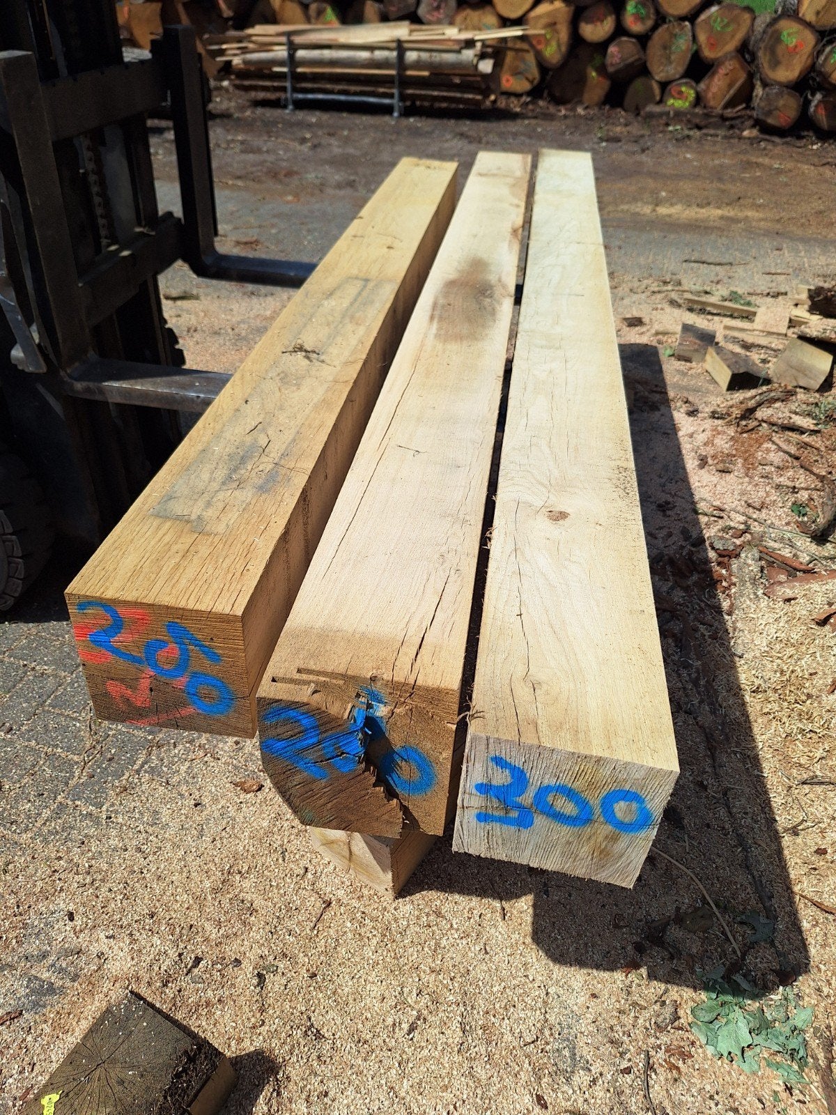 Eiken palen 20x20cm - Diverse lengtes, Ophalen, Eiken, Nieuw, 250 tot 300 cm
