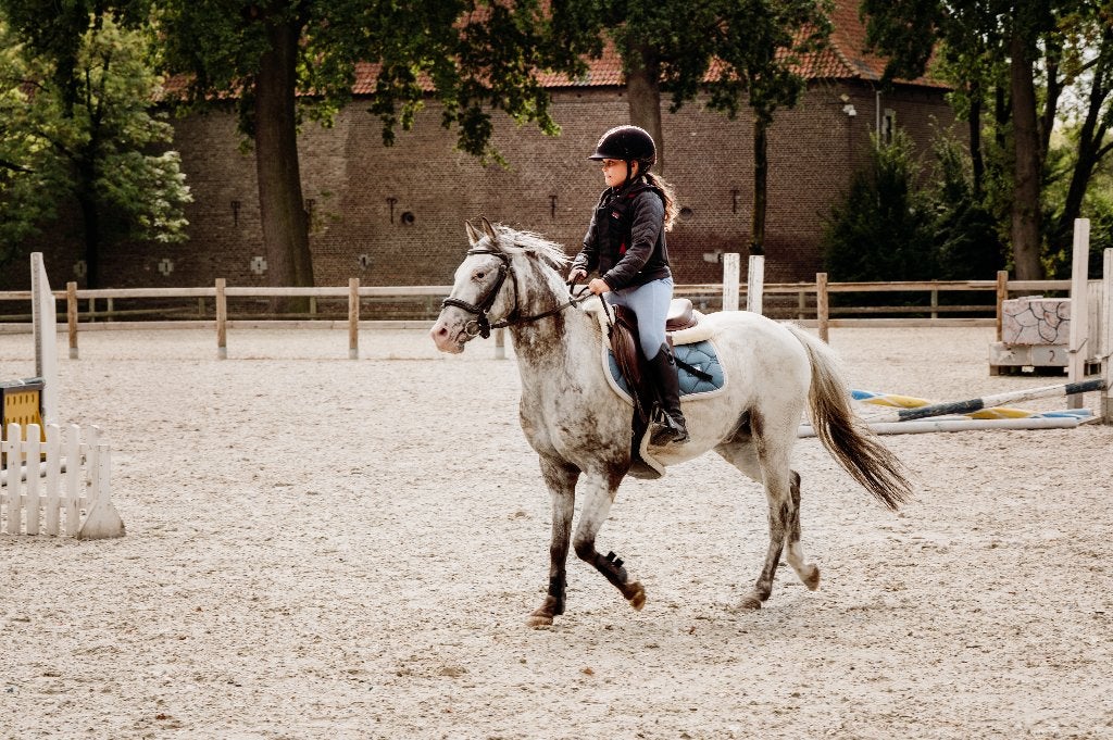 Apaloosa C Ruin te koop, Dieren en Toebehoren, Ruin, Springpony, 3 tot 6 jaar, C pony (1.27m tot 1.37m)