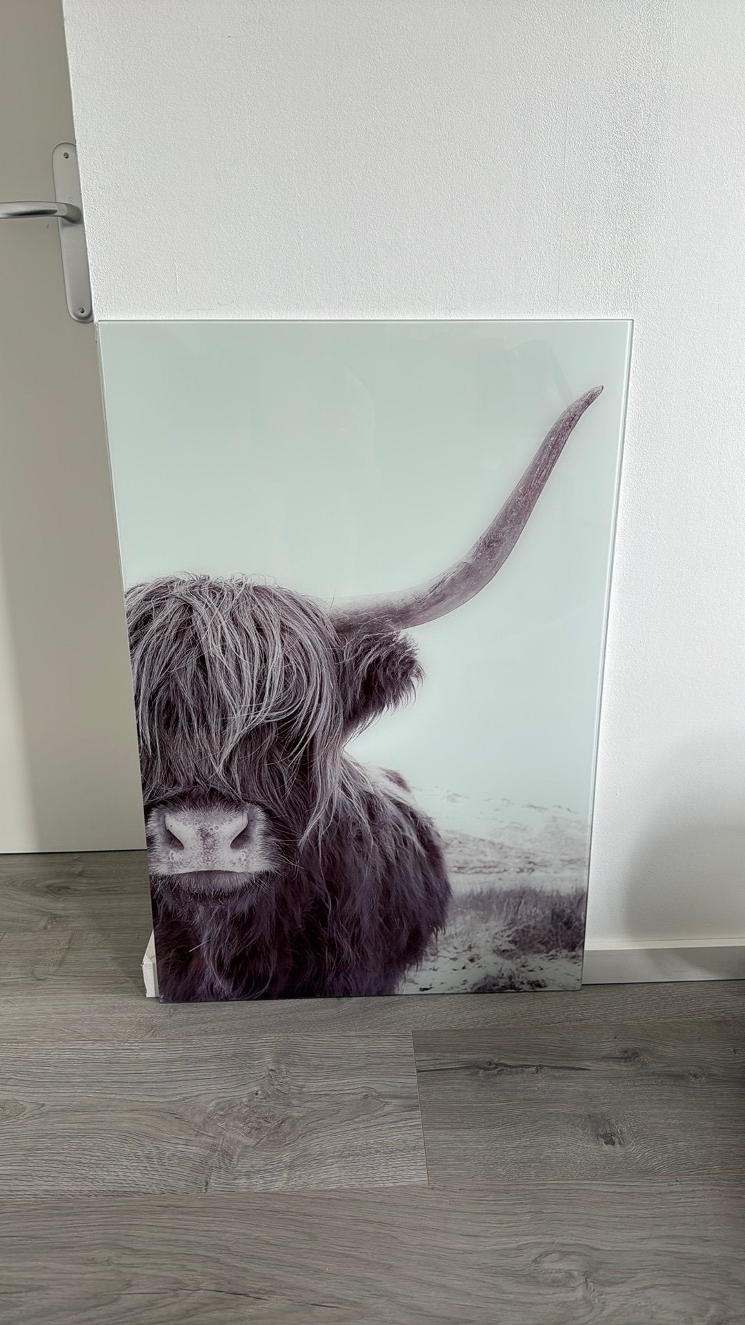 Schotse hooglander  schilderij, Ophalen, Zo goed als nieuw, Schilderij