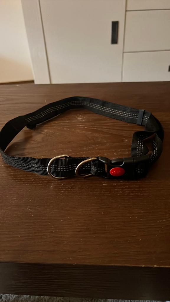 Heupriem voor wandelen met hond, Dieren en Toebehoren, Ophalen of Verzenden