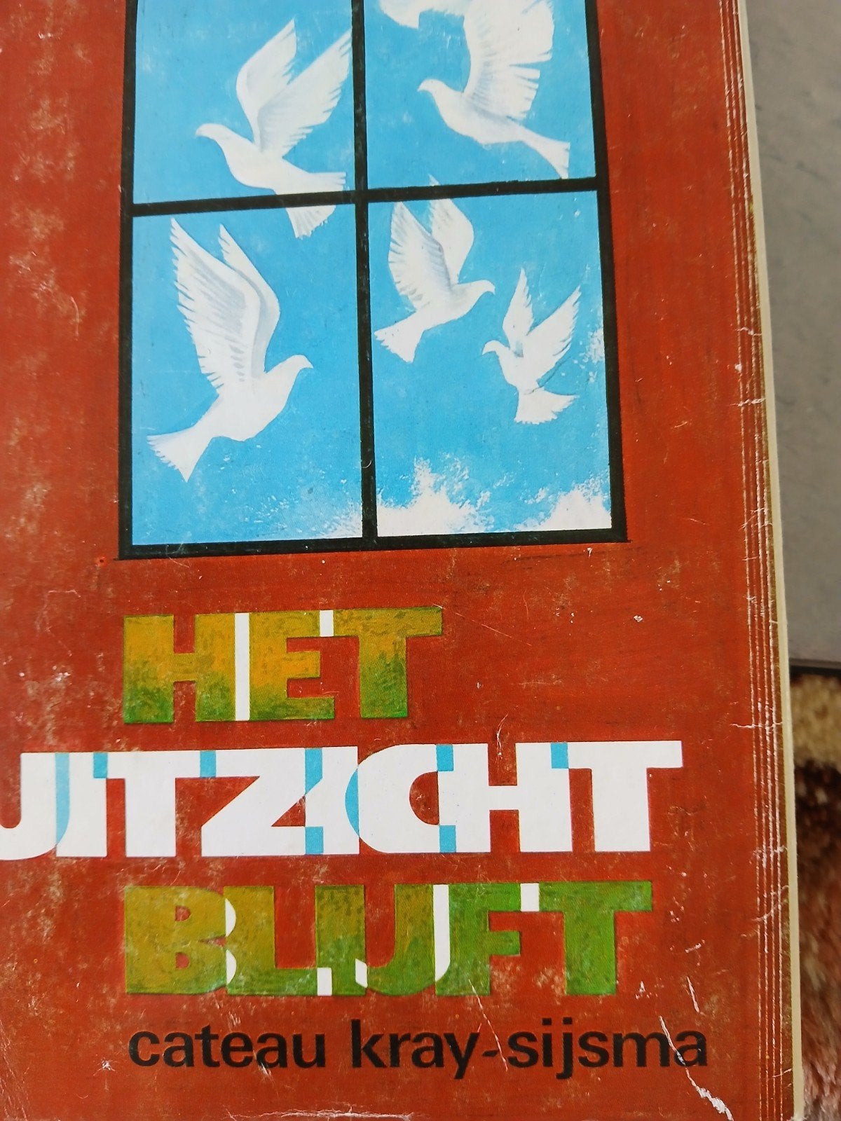 het uitzicht blijft.  cateau Kray Sijsma, Boeken, Ophalen, Gelezen