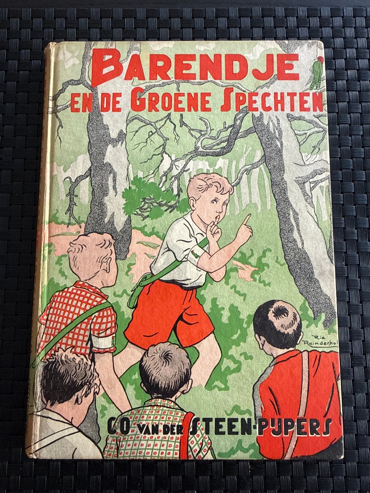 Barendje en de Groene Spechten - Co van der Steen-Pijpers, Ophalen of Verzenden, Gelezen, Fictie algemeen
