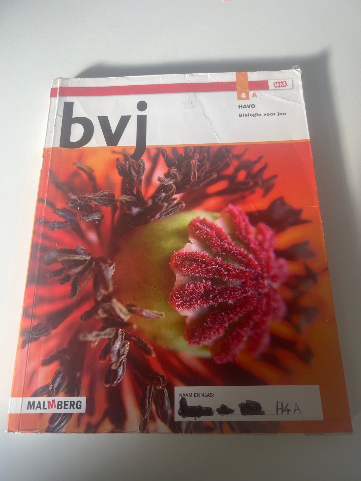 Bvj Biologie voor jou 4 HAVO Malmberg, Ophalen of Verzenden, Gelezen, HAVO, Biologie