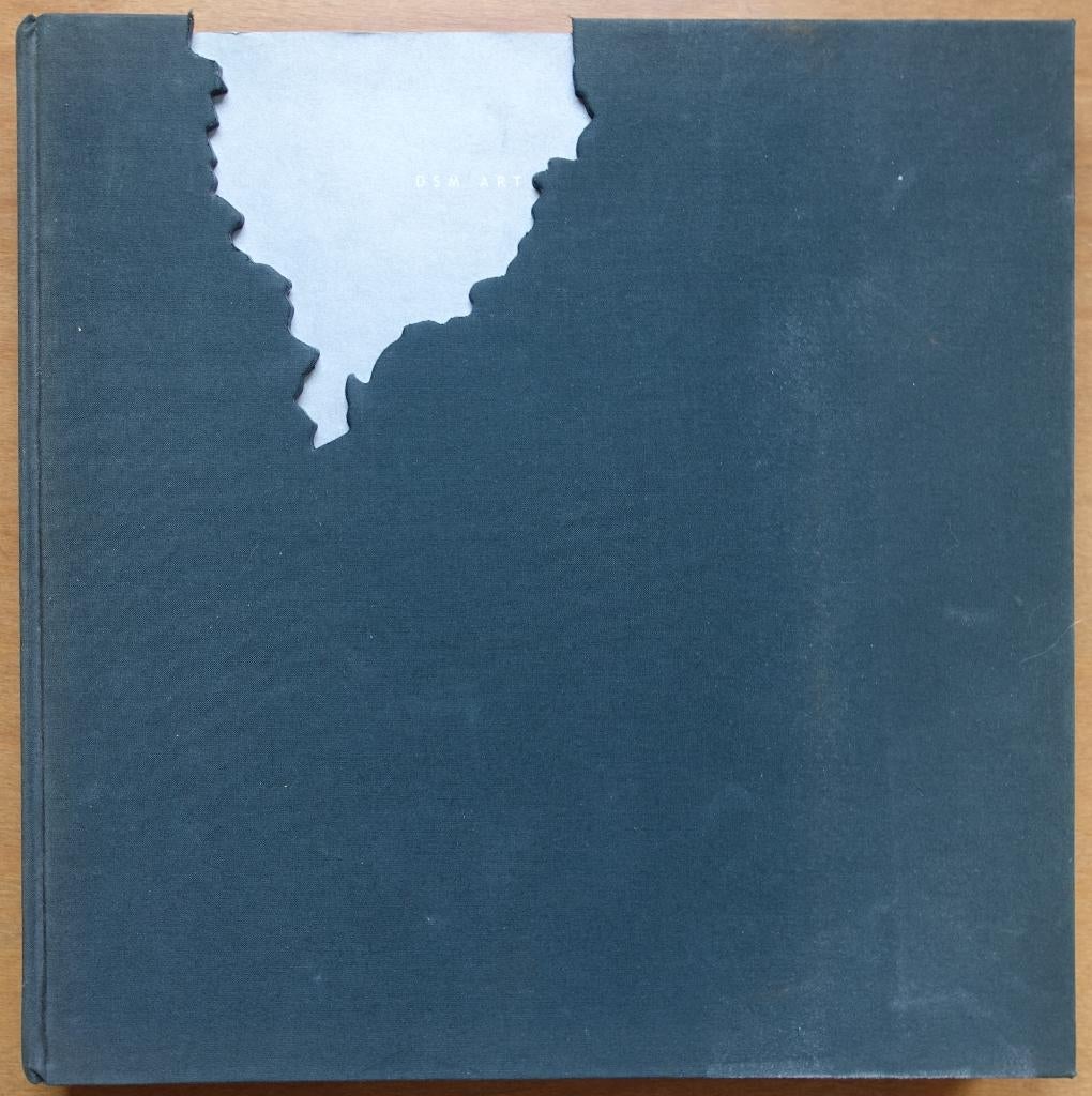 DSM art collection, Zo goed als nieuw, Schilder- en Tekenkunst, Alexander van Grevenstein, Verzenden