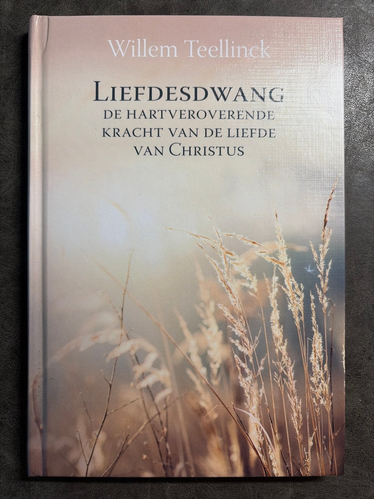 Liefdesdwang - Willem Teellinck, Boeken, Godsdienst en Theologie, Ophalen of Verzenden, Zo goed als nieuw, Christendom | Protestants