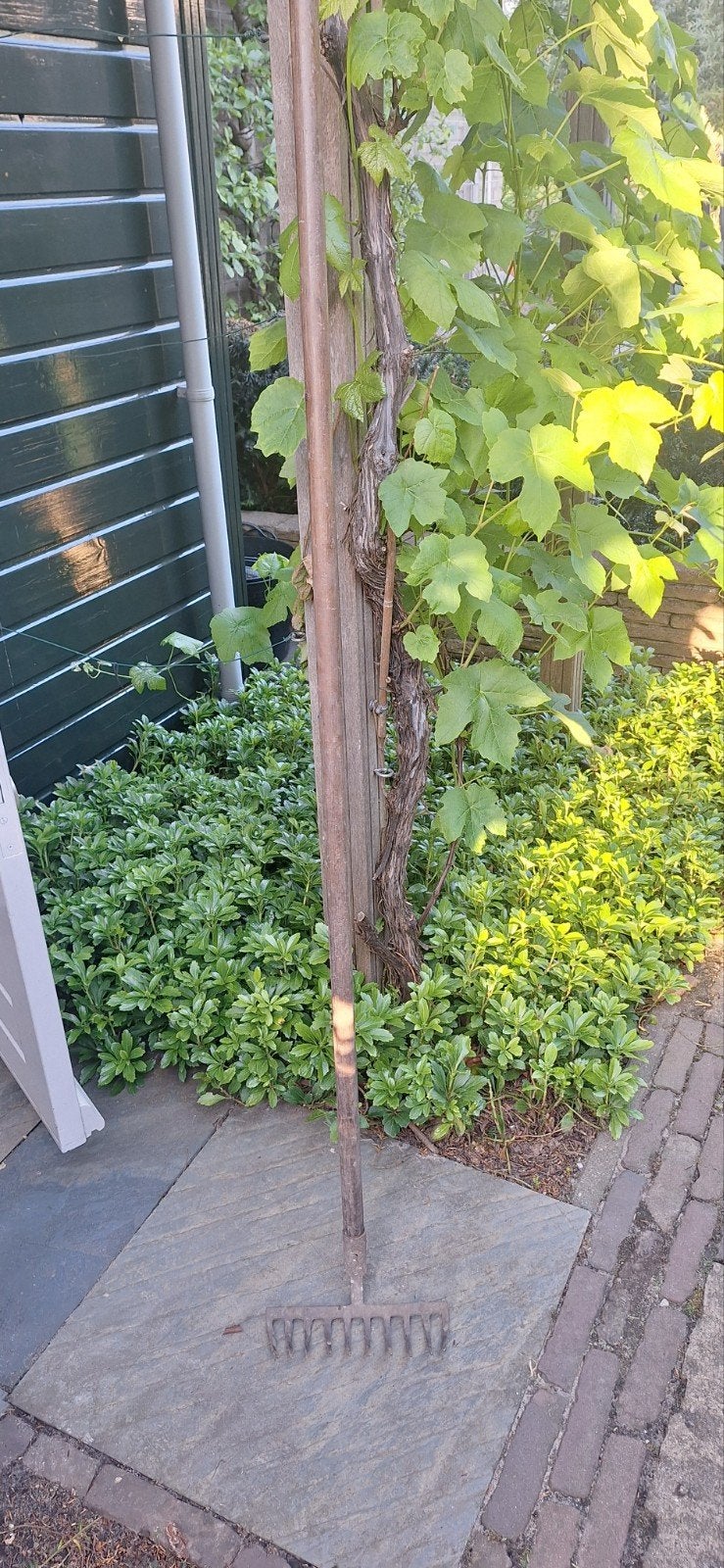 Harde hark voor tuingereedschap, Tuin en Terras, Ophalen, Gebruikt, Hark
