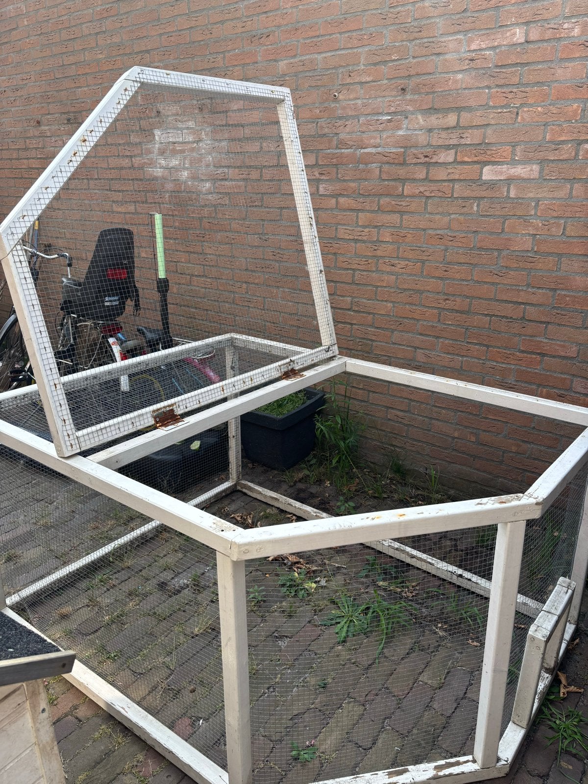 Dieren ren, Ophalen, 110 cm of meer, 60 tot 90 cm, Hamster