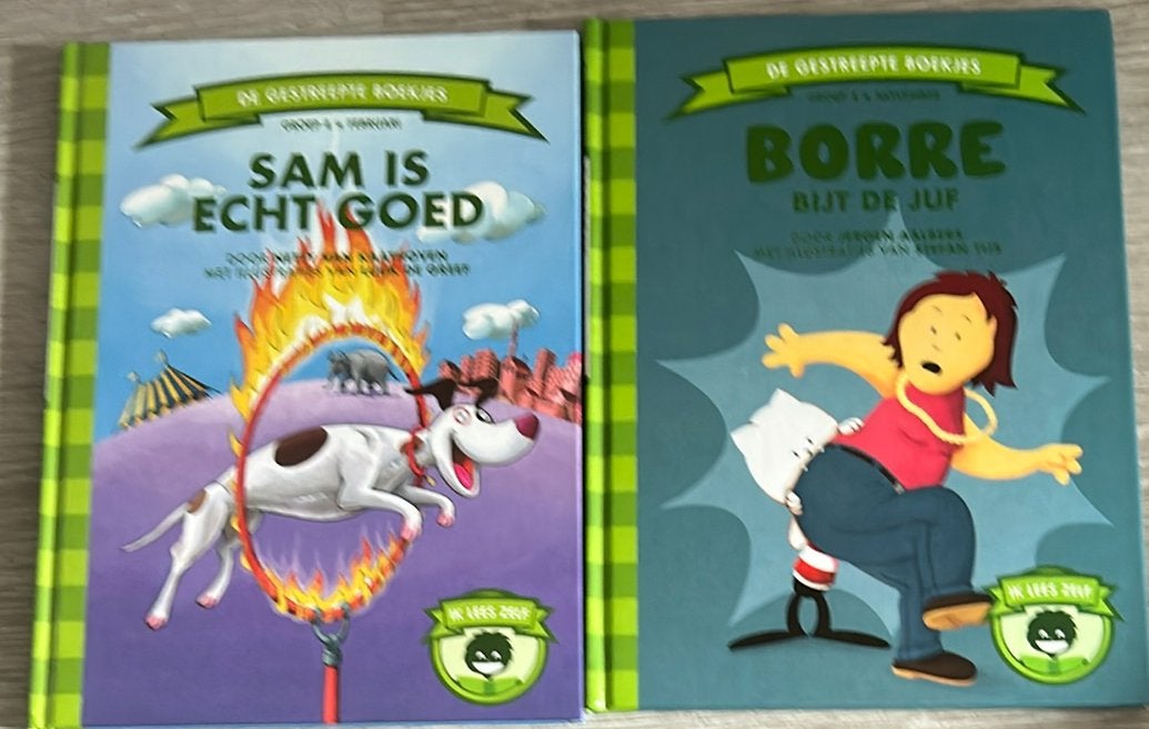 2 Borre boeken groep 4 sam is echt goed borre bijt de juf, Boeken, Kinderboeken | Jeugd | onder 10 jaar, Ophalen of Verzenden