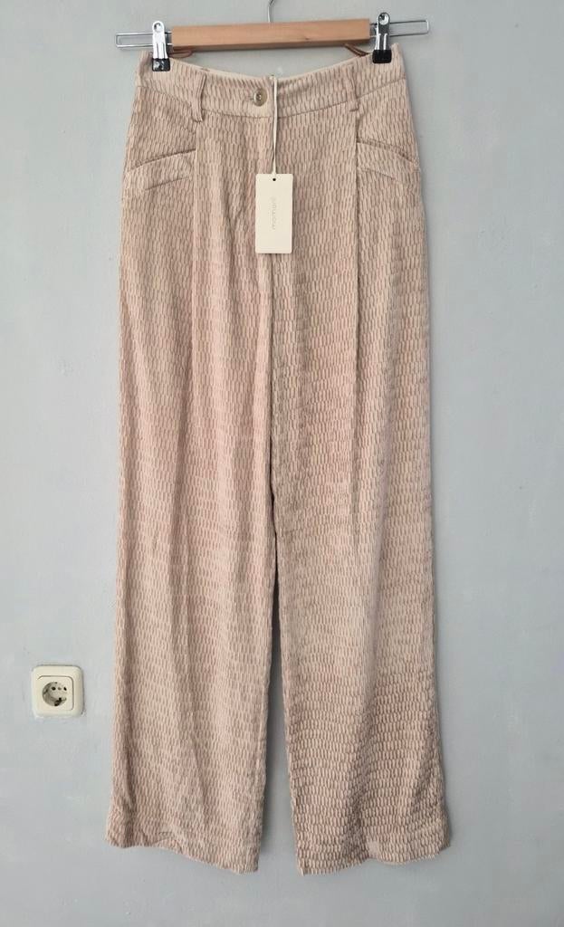 Momoni fluweel pantalon nieuw, Maat 38/40 (M), Nieuw, Ophalen of Verzenden, Lang