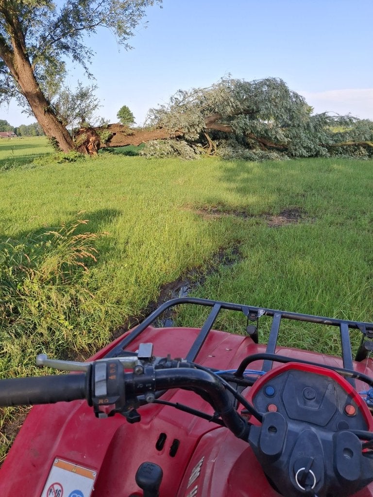 Haardhout, Minder dan 3 m³, Ophalen of Verzenden
