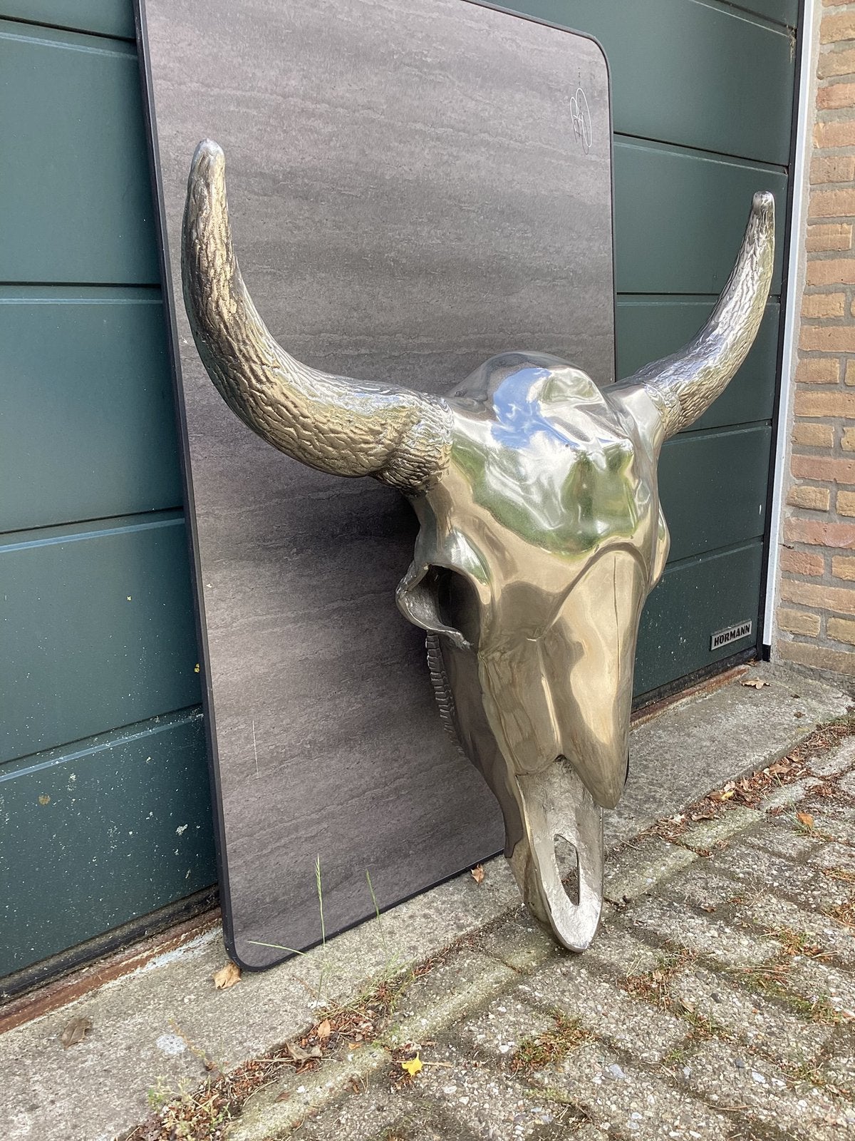 Prachtige Buffelschedel, Buffel Schedel., Ophalen, Zo goed als nieuw