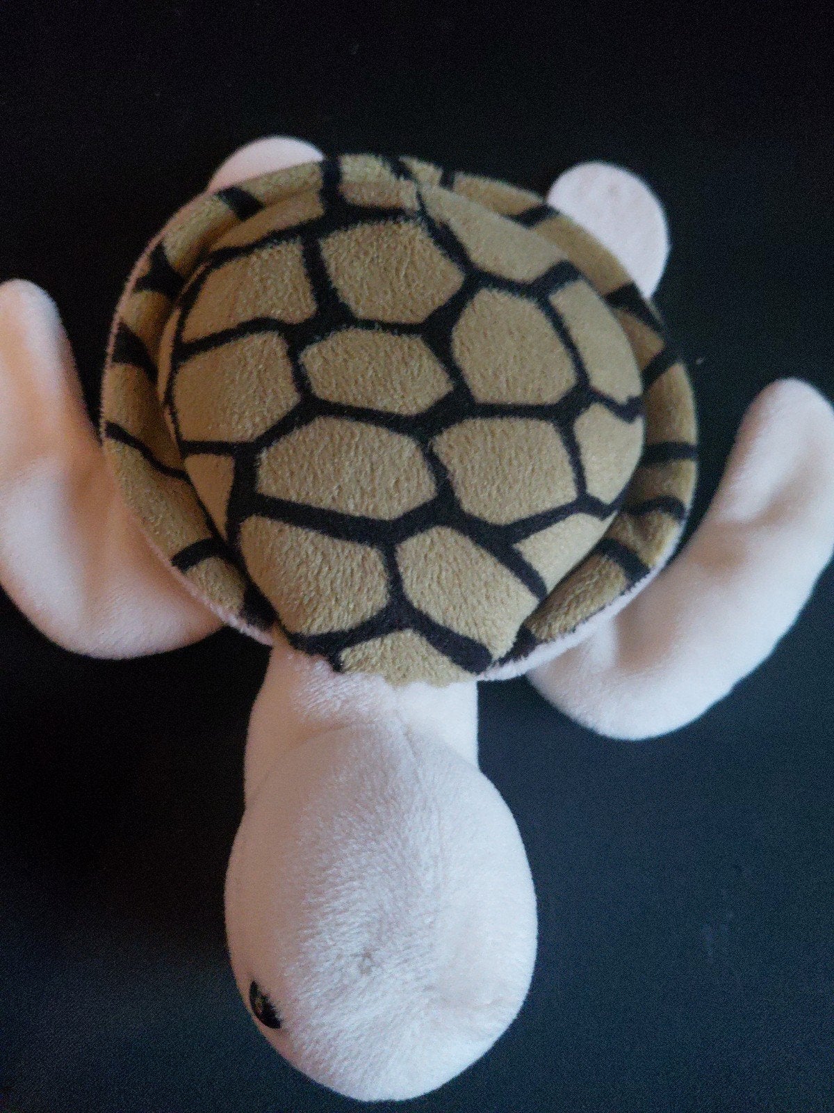 Leuke schildpadden knuffel, Overige merken, Overige karakters, Overige typen, Ophalen of Verzenden