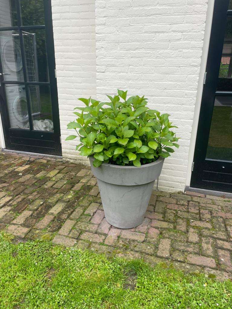 3 grijze potten inclusief hortensia, Ophalen, Kunststof, Gebruikt, Rond