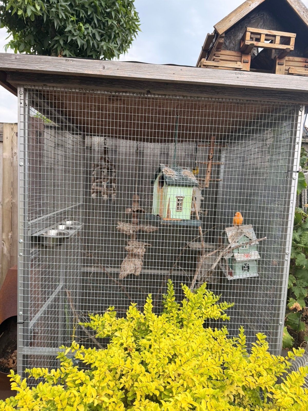 Leuke volière voor tuin of overkapping incl. 3 vogels, Dieren en Toebehoren, Ophalen, Gebruikt, Aluminium, Volière
