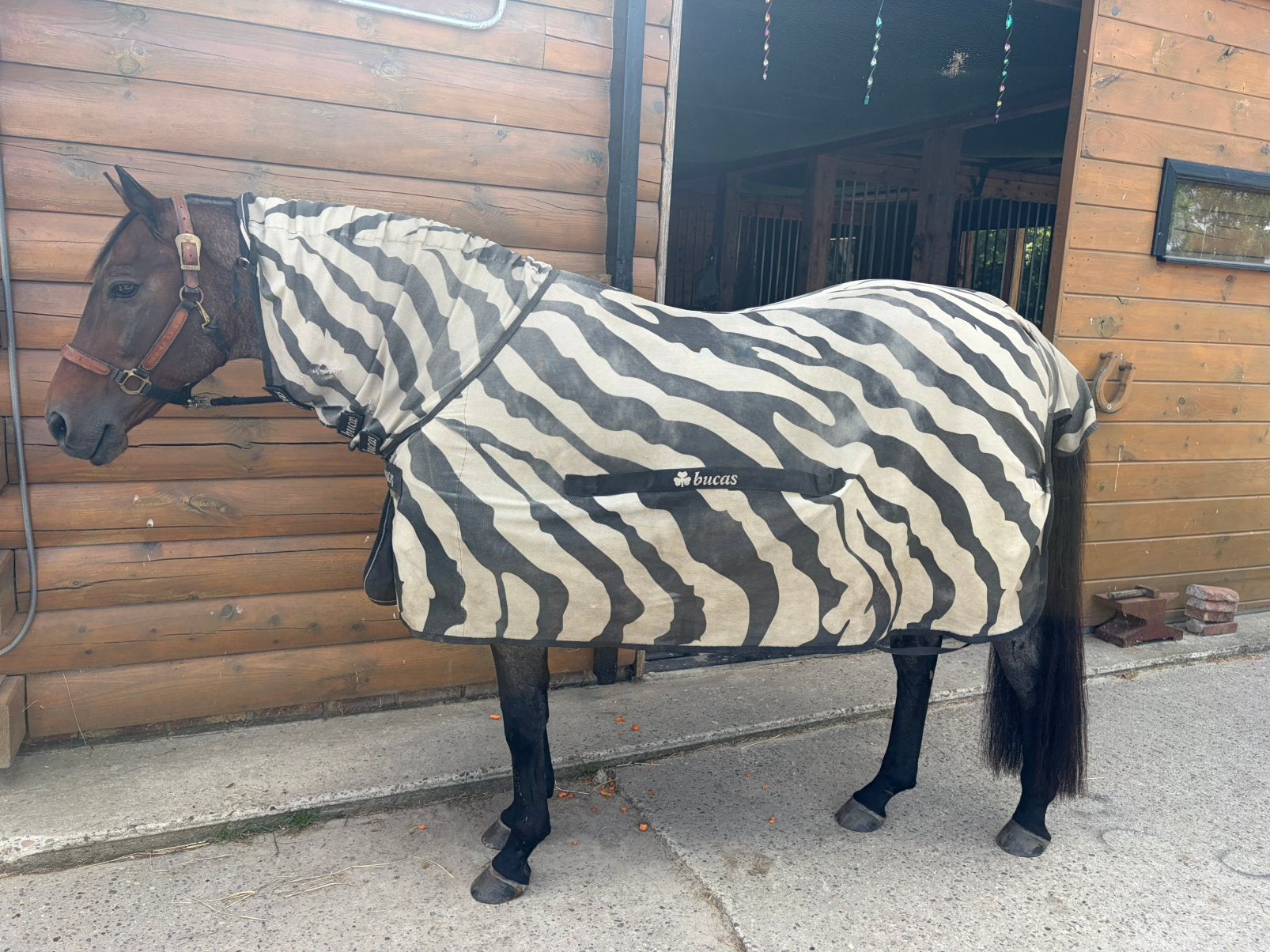 Bucas Ful Neck zebra deken maat 6.3, Gebruikt, Vliegendeken, Ophalen of Verzenden, Klittenbandsluiting