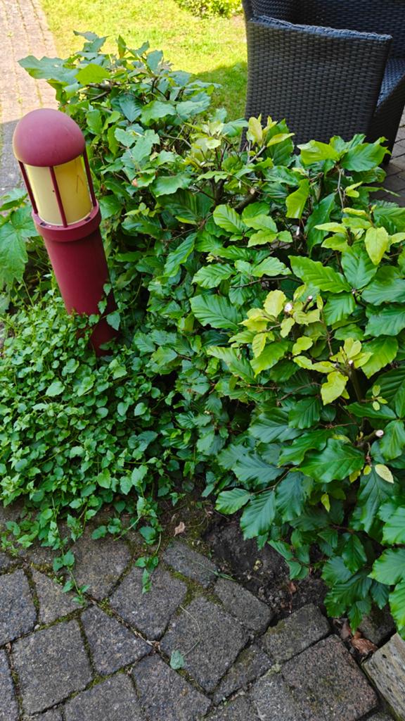 Tuinlamp, Tuin en Terras, Buitenverlichting, Gebruikt, Staande lamp, Ophalen of Verzenden, Netvoeding