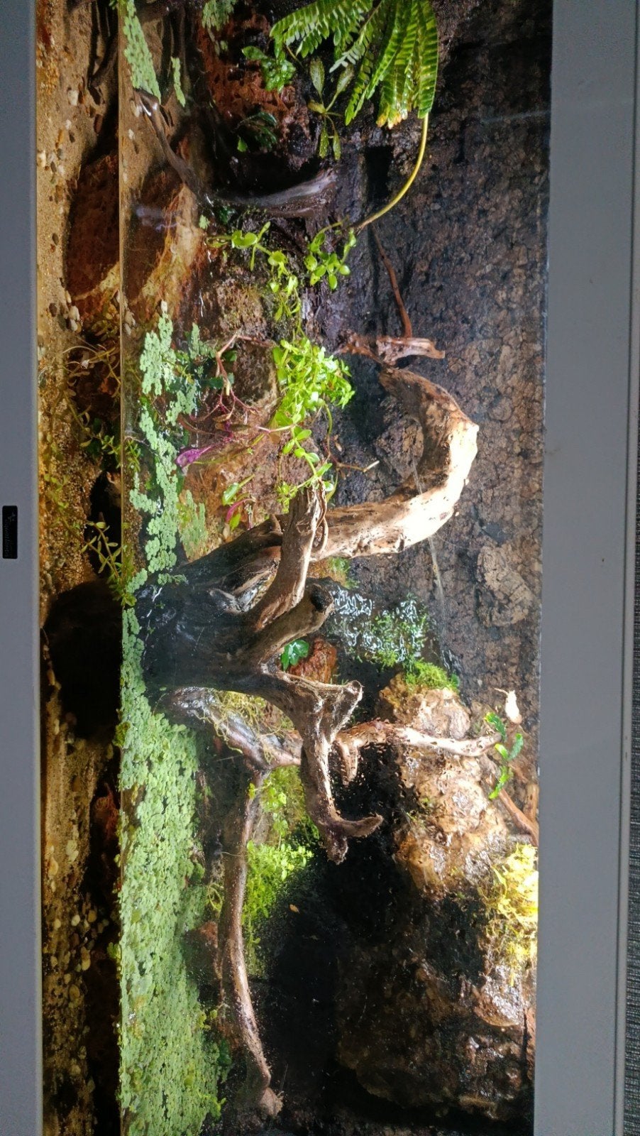 aquarium, terrarium of paludarium bouwers!, Ophalen, Nieuw, Terrarium of Paludarium