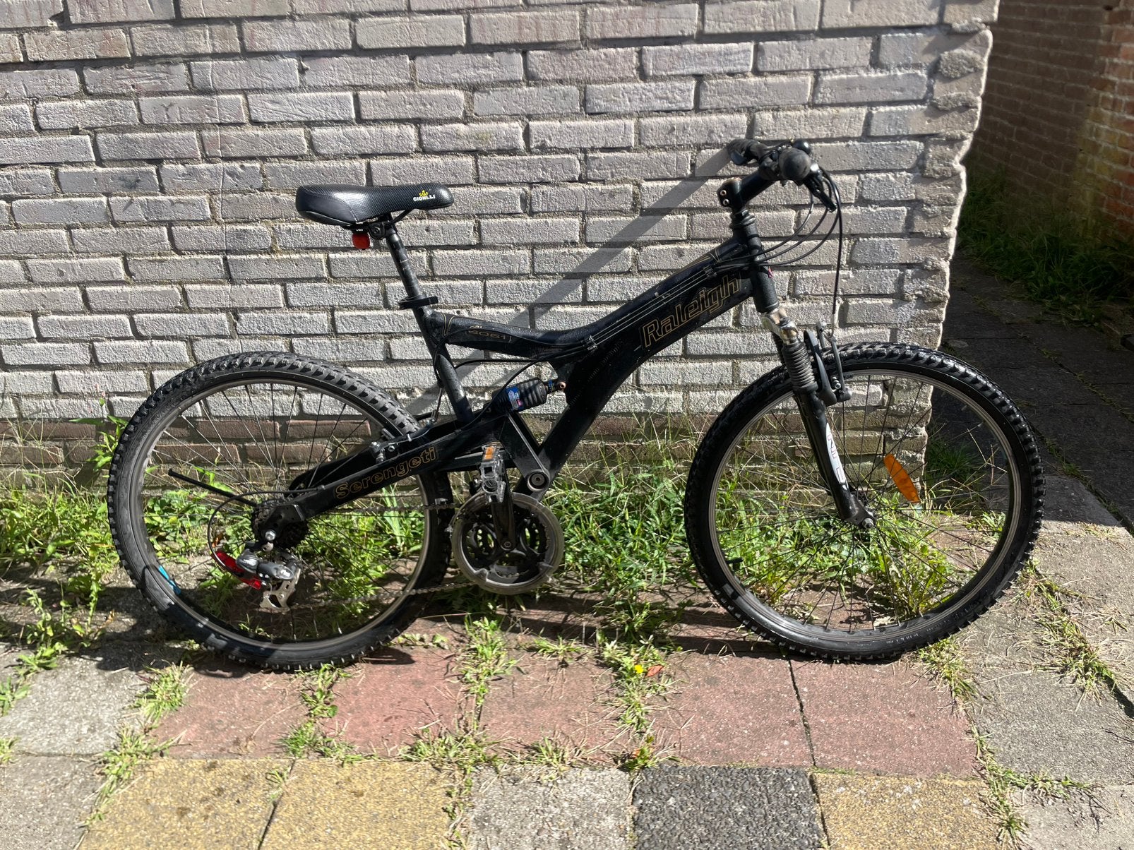 Raleigh Canada Serengeti Aluminum 6061 Mountainbike, Fietsen en Brommers, Gebruikt, 45 tot 49 cm, Ophalen, Overige merken