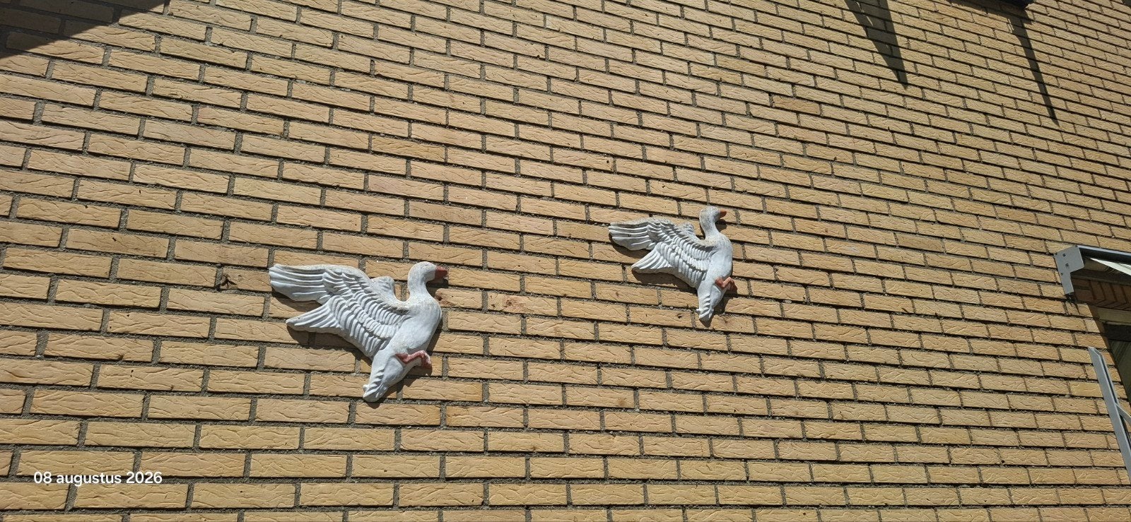 betonnen decoratiebeelden zwanen, Tuin en Terras, Ophalen