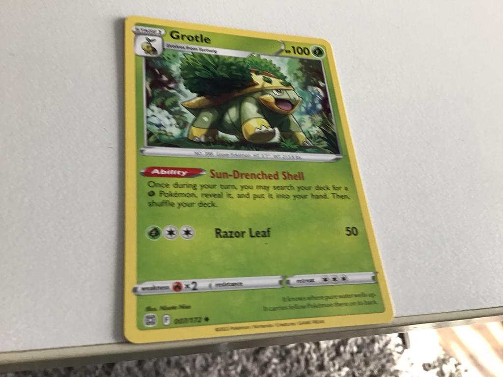 Pokémon Kaart: Grotle (007/172) - Sun-Drenched Shell, Ophalen of Verzenden, Zo goed als nieuw, Losse kaart