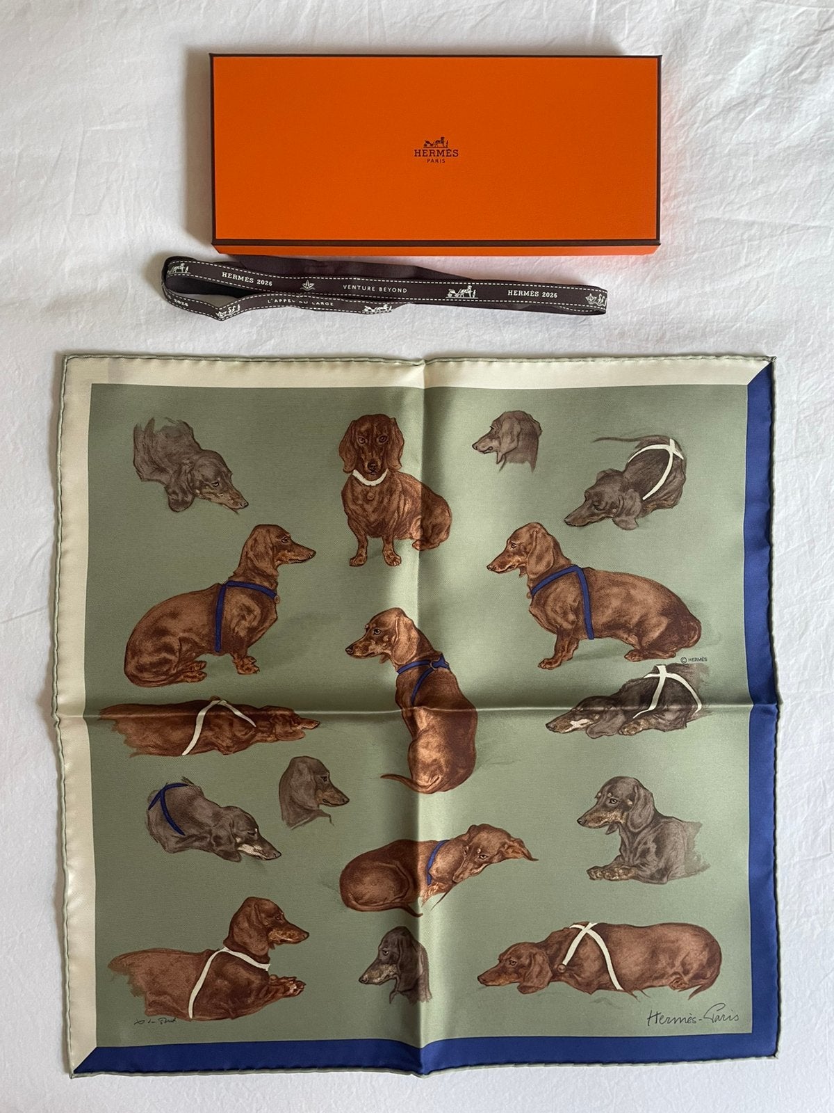 Hermes bassets shawl / gavroche, Ophalen of Verzenden, Nieuw, Maat 36 (S), Sjaal