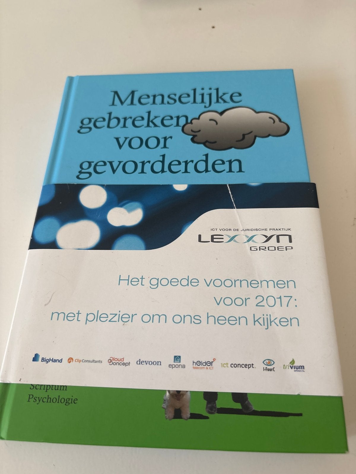 Menselijke gebreken voor gevorderden - Roos Vonk, Ophalen of Verzenden, Zo goed als nieuw, Sociale psychologie