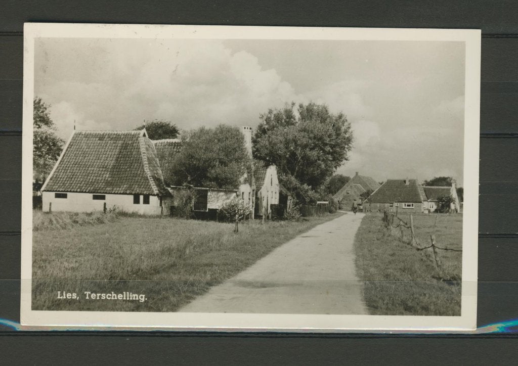 Terschelling 1951 Lies Z/W Foto-Ansichtkaart f-328 jdu, Verzamelen, Ophalen of Verzenden, 1940 tot 1960, Gelopen, Waddeneilanden