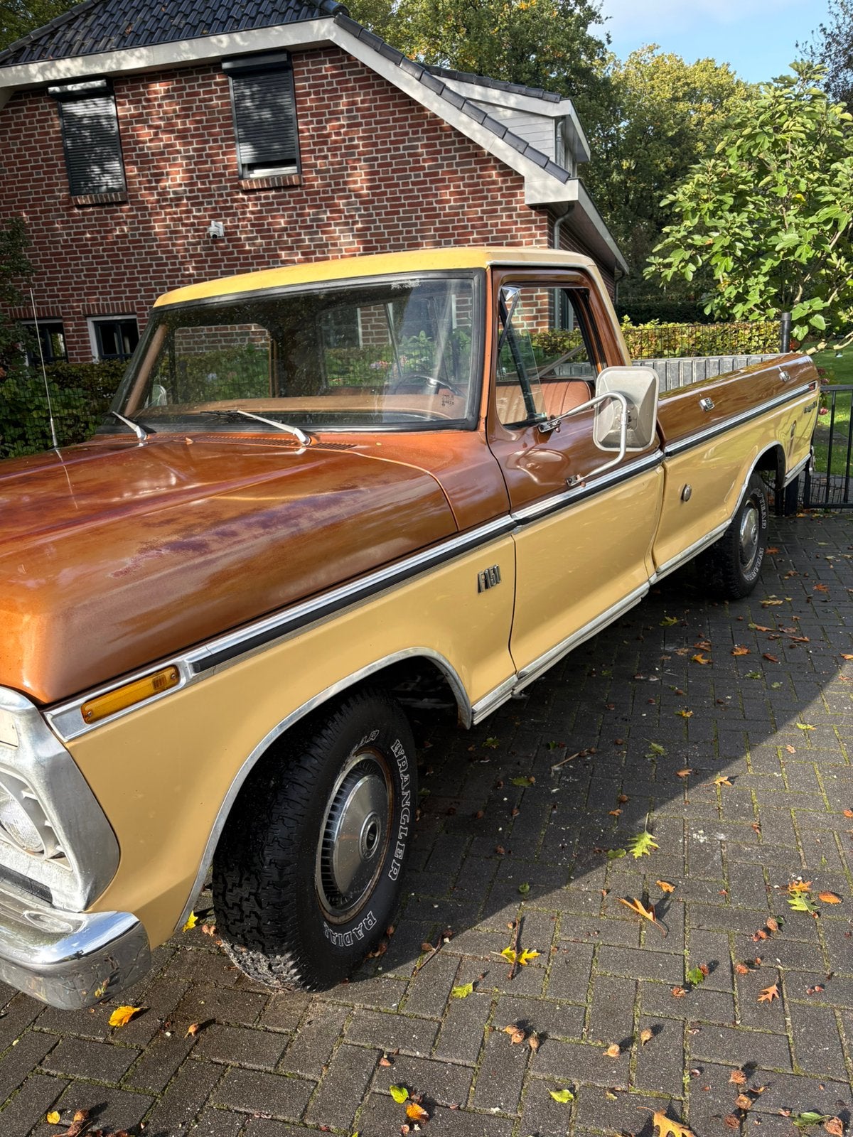 Ford f150 1975. 1978 1979, Auto's, Automaat, 8 cilinders, F-150, Bedrijf