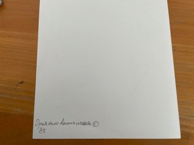 zwart wit foto van Inez van Lamsweerde, Ophalen of Verzenden, Diverse fotografen, Gelezen, Fotografen