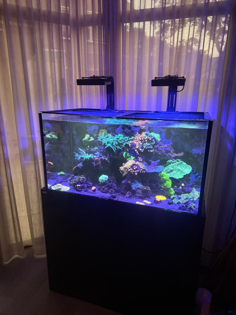Zeeaquarium 100x55x55, Ophalen, Zo goed als nieuw, Leeg aquarium