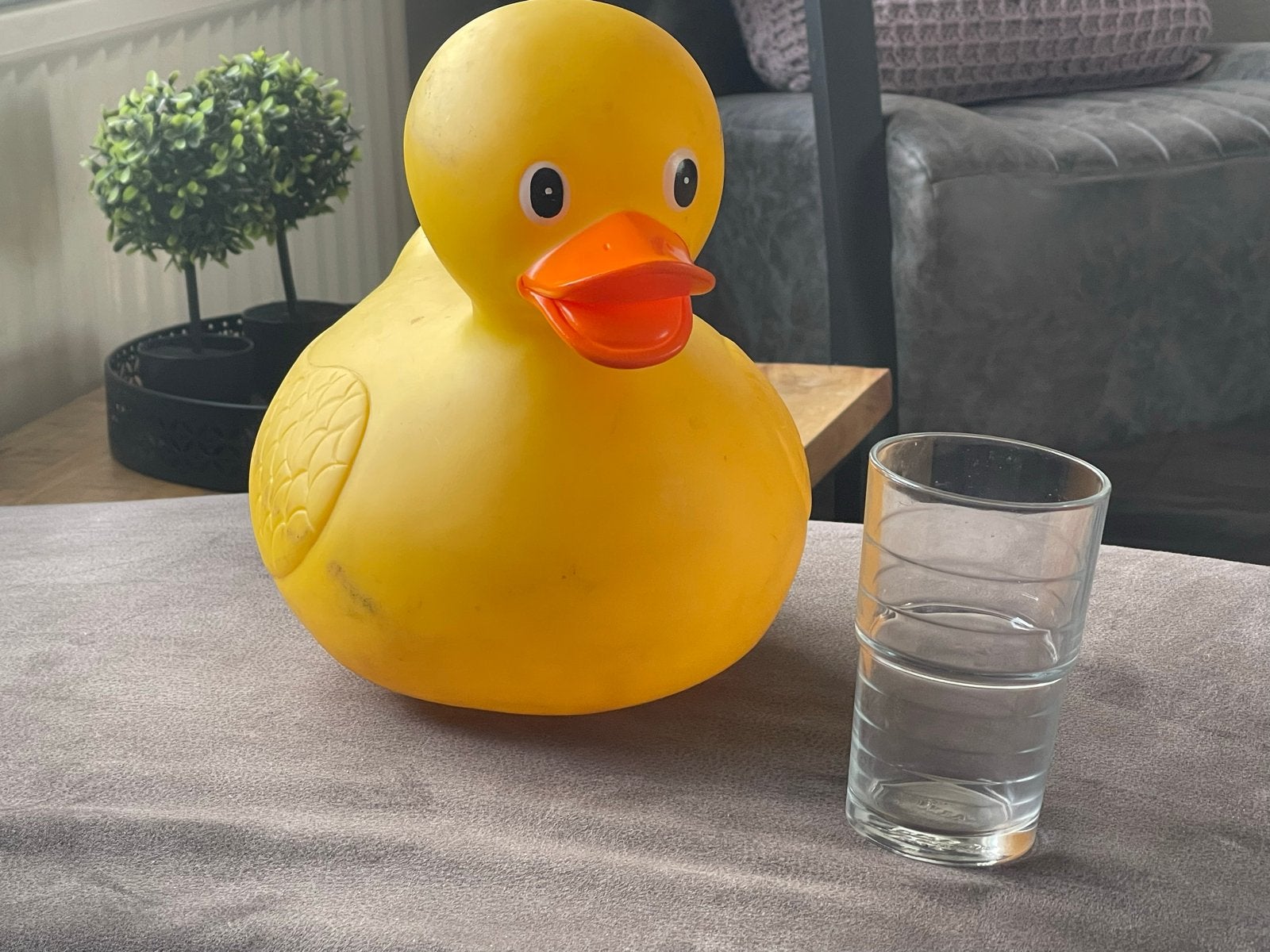 Grote gele badeend - Leuk voor in bad of als decoratie, Ophalen of Verzenden, Gebruikt, Jongen of Meisje