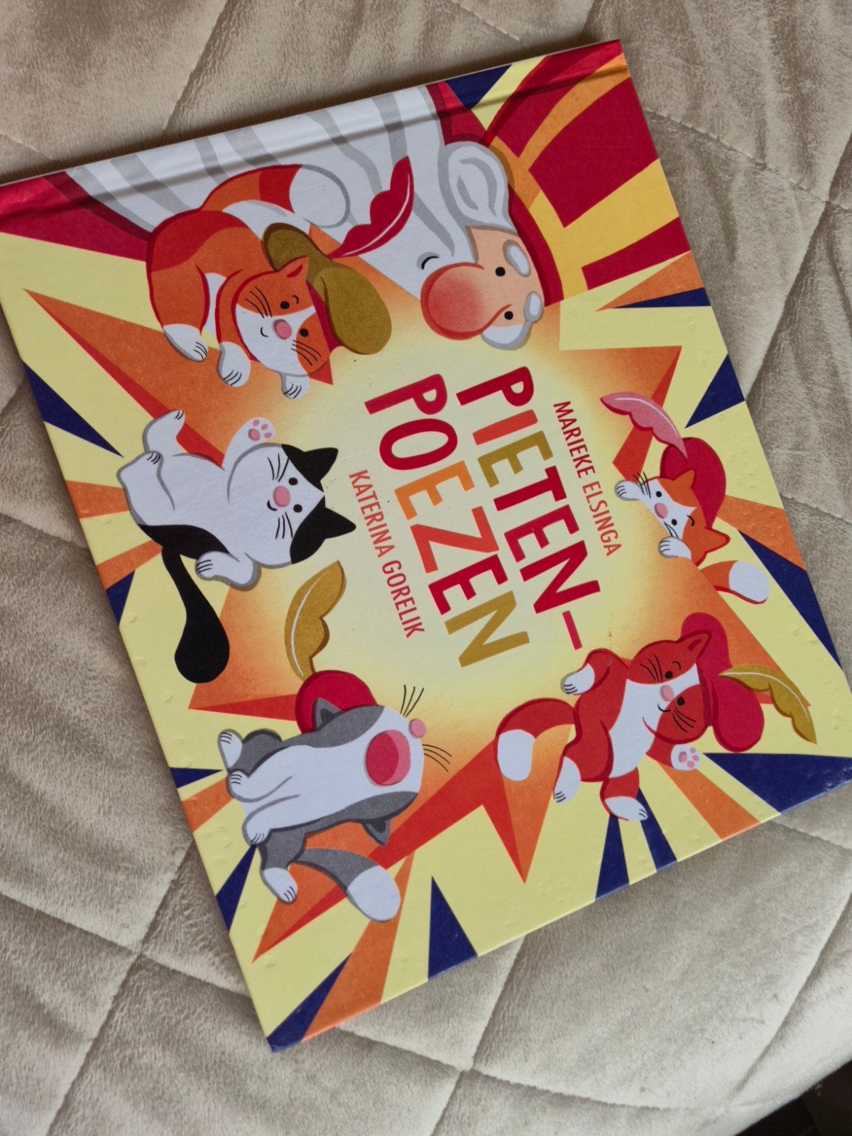 Pietenpoezen - Marieke Elsinga & Katerina Gorelik, Boeken, Ophalen of Verzenden, Zo goed als nieuw