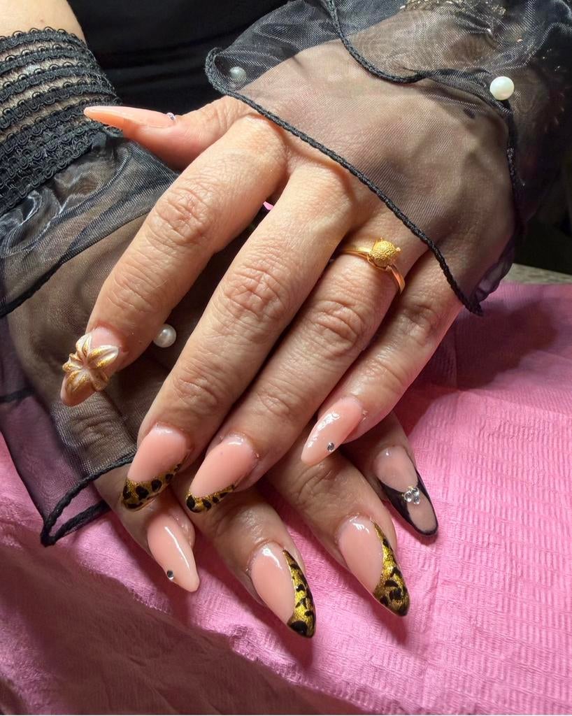 Model gezocht biab nail art 3d, 33 - 40 uur, Overige niveaus, Vanaf 10 jaar, Overige vormen