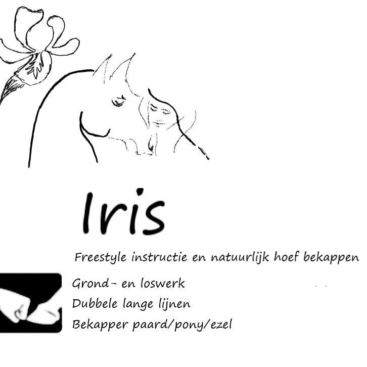 Freestyle Instructie en Natuurlijk Hoefbekapper, Ophalen, Nieuw