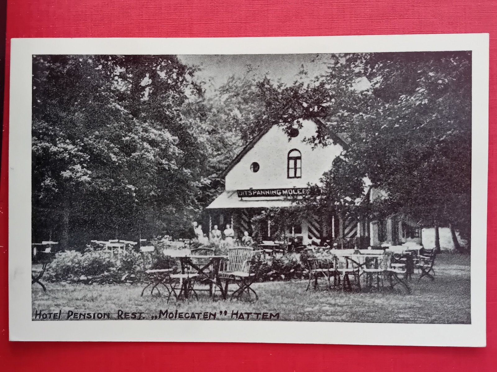 Ansichtkaart Hattem, Ophalen of Verzenden, Gelderland