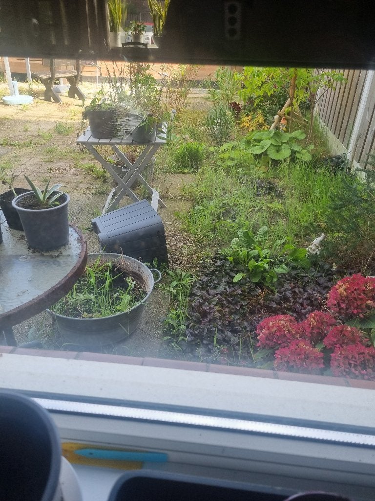 DRINGEND GEZOCHT!! Gratis kippen/konijnenhok!!!, Dieren en Toebehoren, Ophalen, Zo goed als nieuw, Kippenhok of Kippenren
