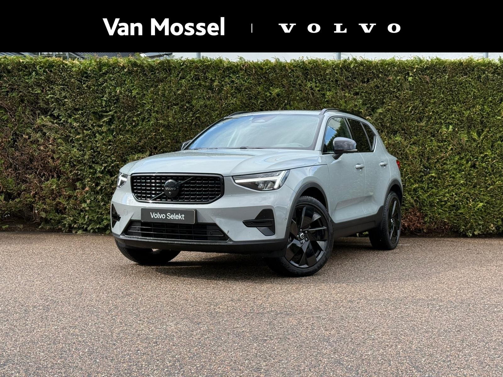 Volvo XC40 B4 Plus Black Edition | Panoramadak | 360 camera