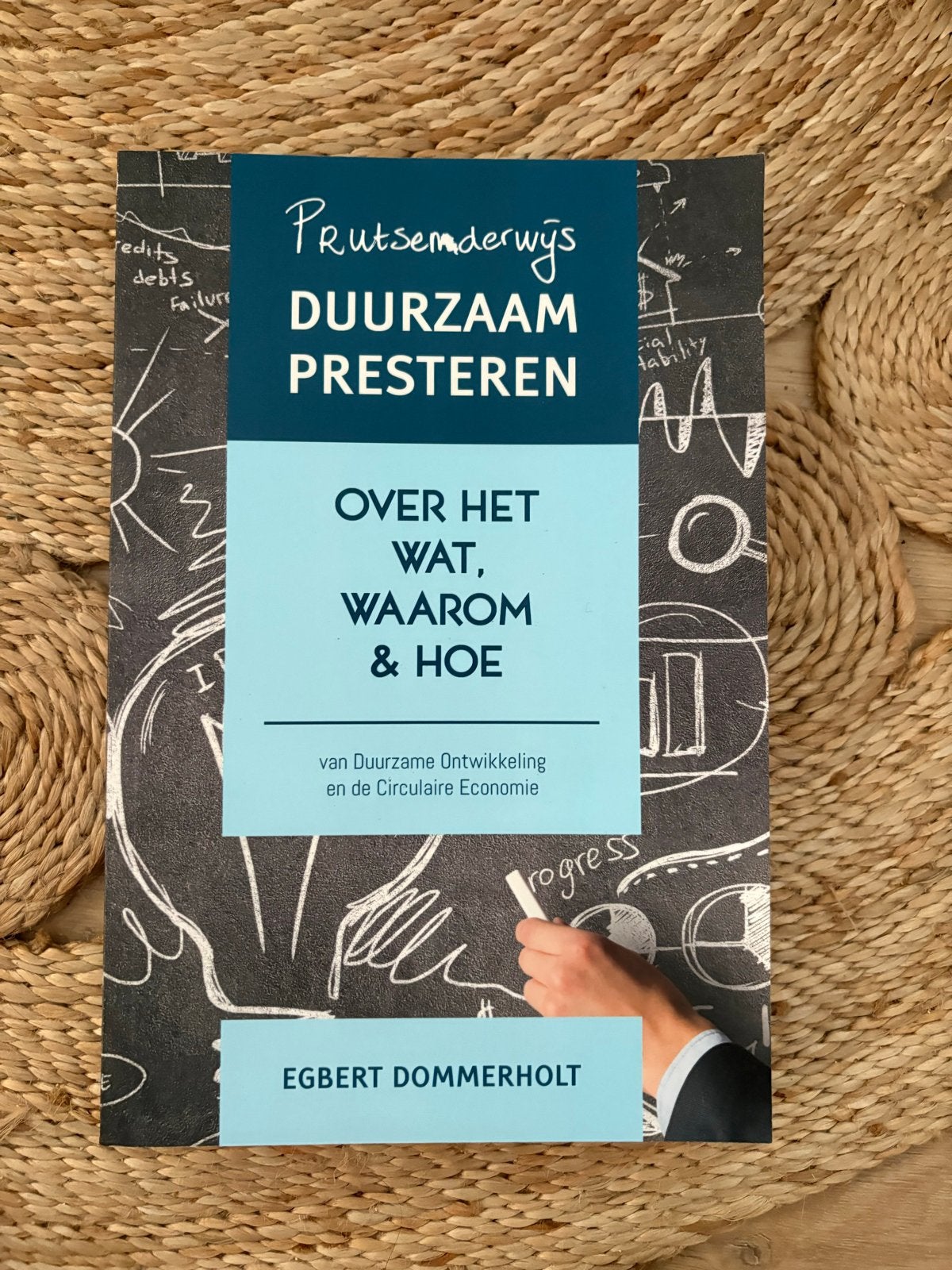 Duurzaam Presteren: Over het Wat, Waarom & Hoe, Ophalen of Verzenden, Zo goed als nieuw, Overige onderwerpen