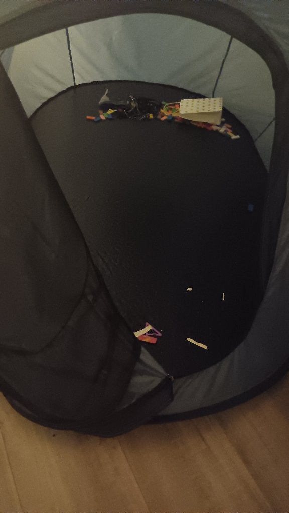 Tent te koop, Ophalen, Zo goed als nieuw, Tot en met 2