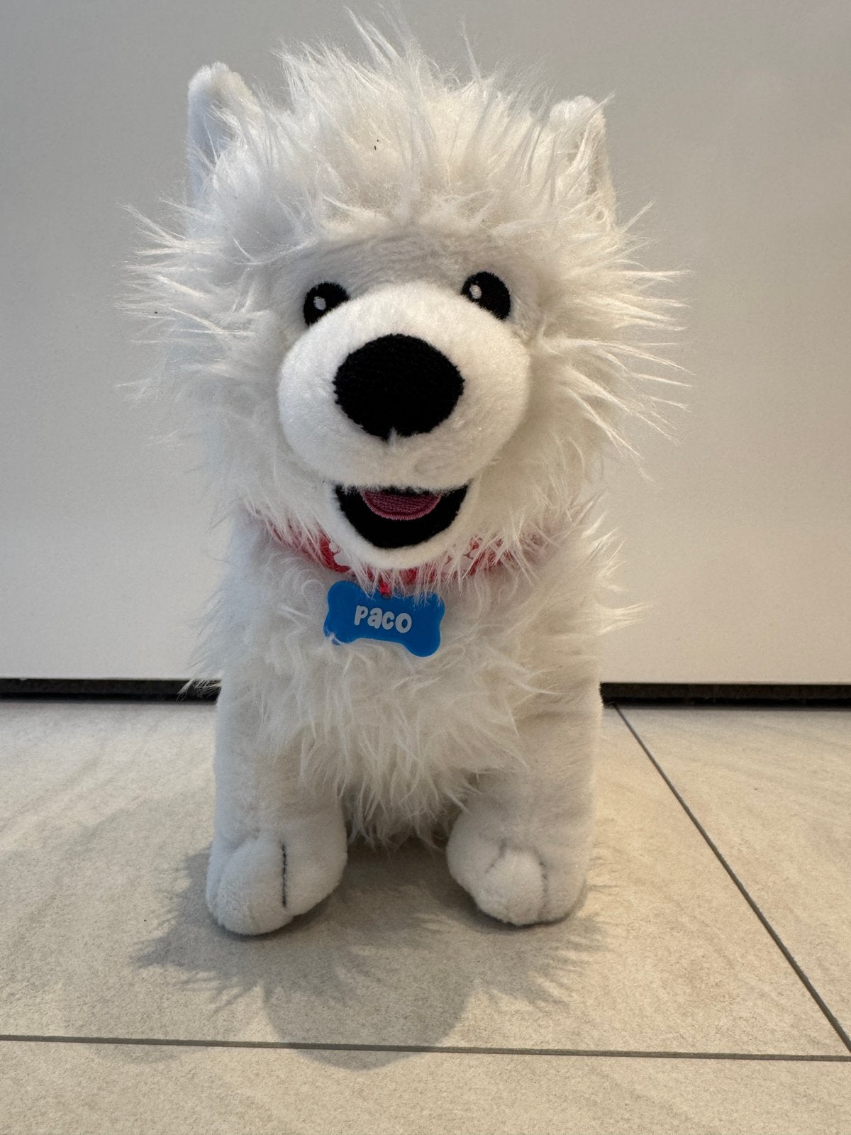 Knuffel hond Paco van Rutger en Thomas, Kinderen en Baby's, Speelgoed | Knuffels en Pluche, Ophalen of Verzenden, Zo goed als nieuw