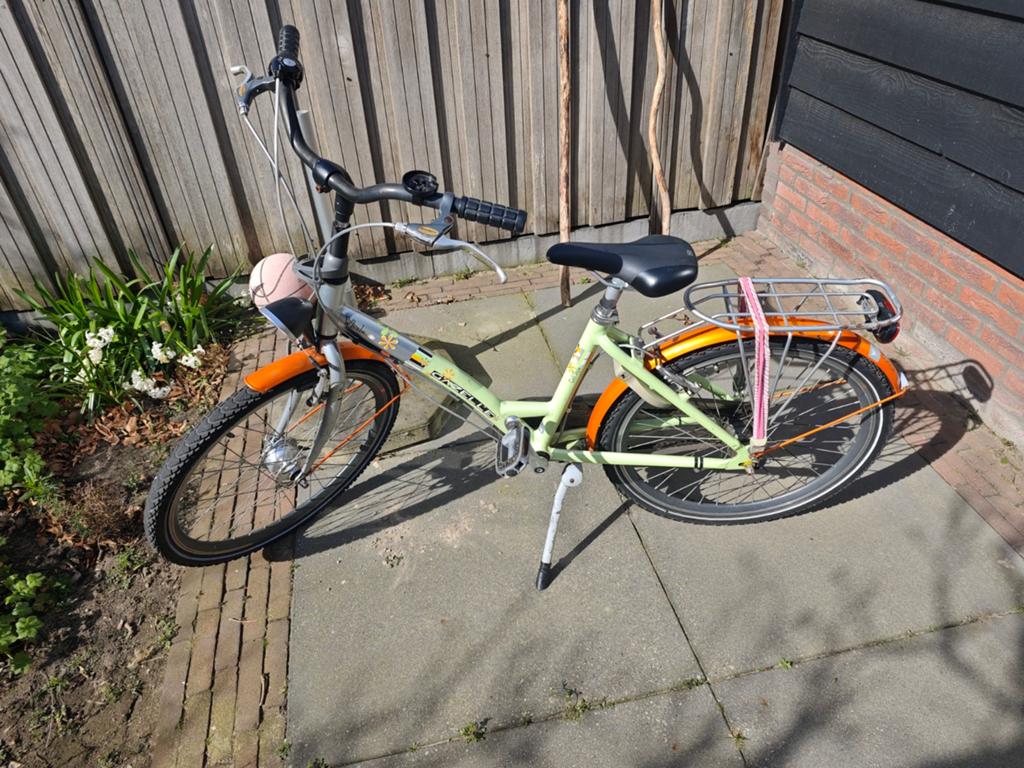 Stevige Gazelle kinderfiets 24 inch, Ophalen, Terugtraprem, 24 inch, Onbekend