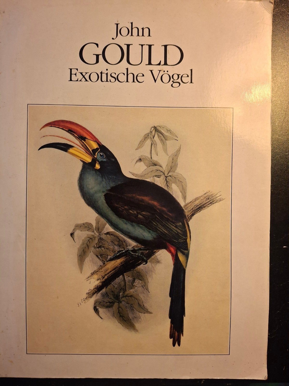 John Gould - Exotische Vogels (Boek), Ophalen of Verzenden, Zo goed als nieuw, Vogels, John Gould