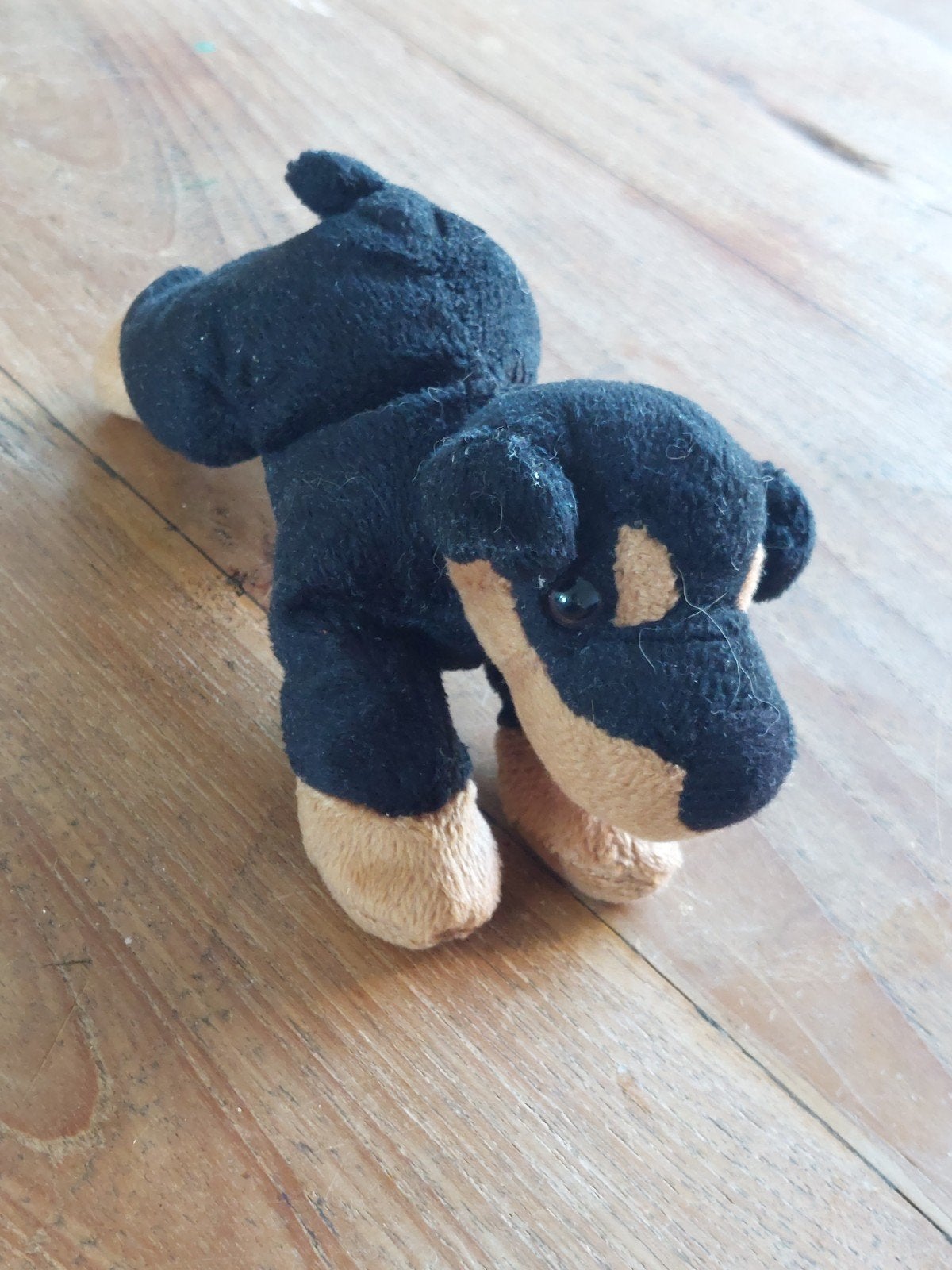 Schattige Rottweiler knuffel -, Overige merken, Overige karakters, Zwart, Zo goed als nieuw