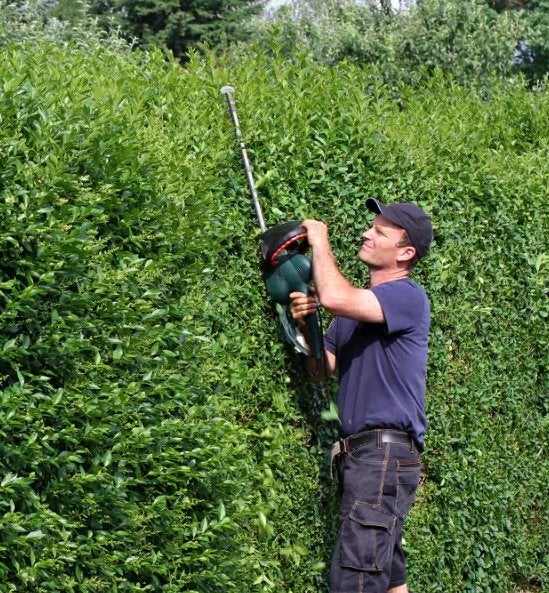 Tuinman voor (licht) tuin onderhoud aangeboden, Diensten en Vakmensen, Tuinmannen en Stratenmakers, Tuinonderhoud of Snoeiwerk