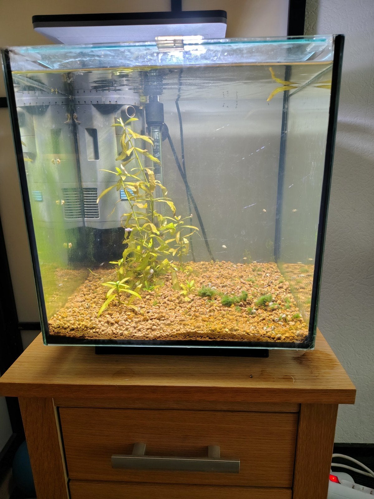 Superfish Qubic 30, Dieren en Toebehoren, Ophalen of Verzenden, Verlichting of Verwarming