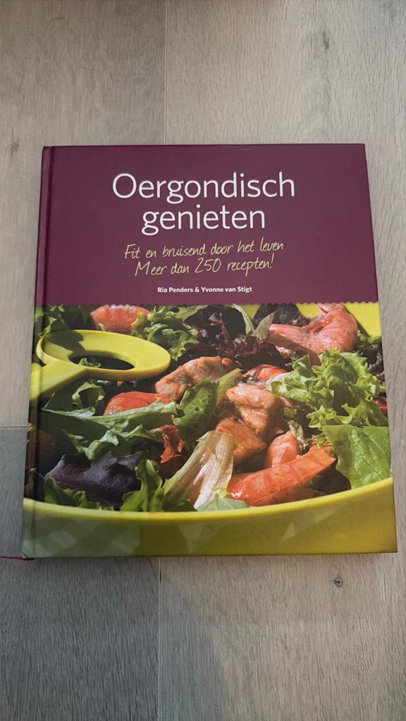 Ria Penders - Oergondisch genieten, Boeken, Ophalen of Verzenden, Zo goed als nieuw, Ria Penders; Yvonne van Stigt