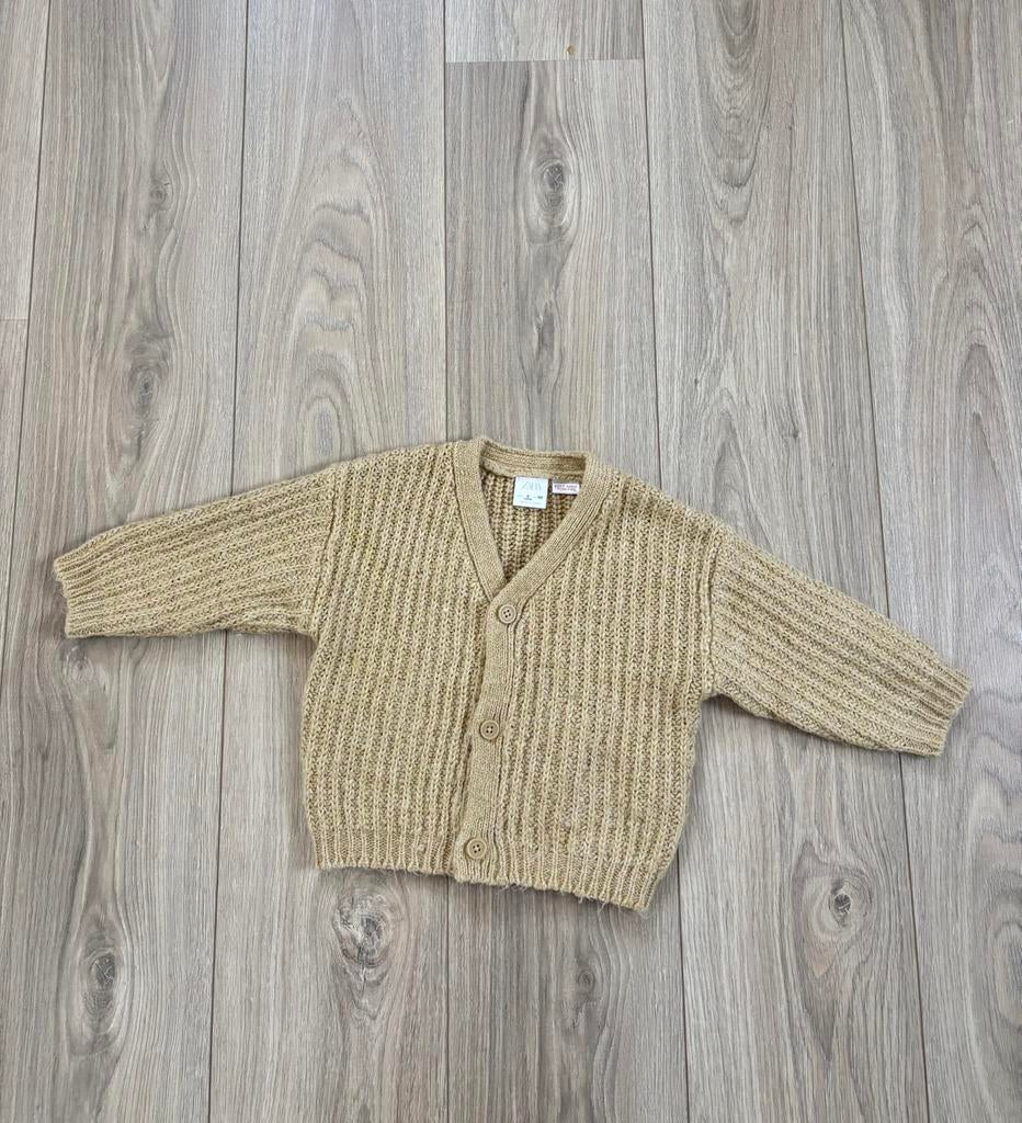 Fijn ZARA vestje - maat 92, Ophalen of Verzenden, Zo goed als nieuw, Meisje, Trui of Vest