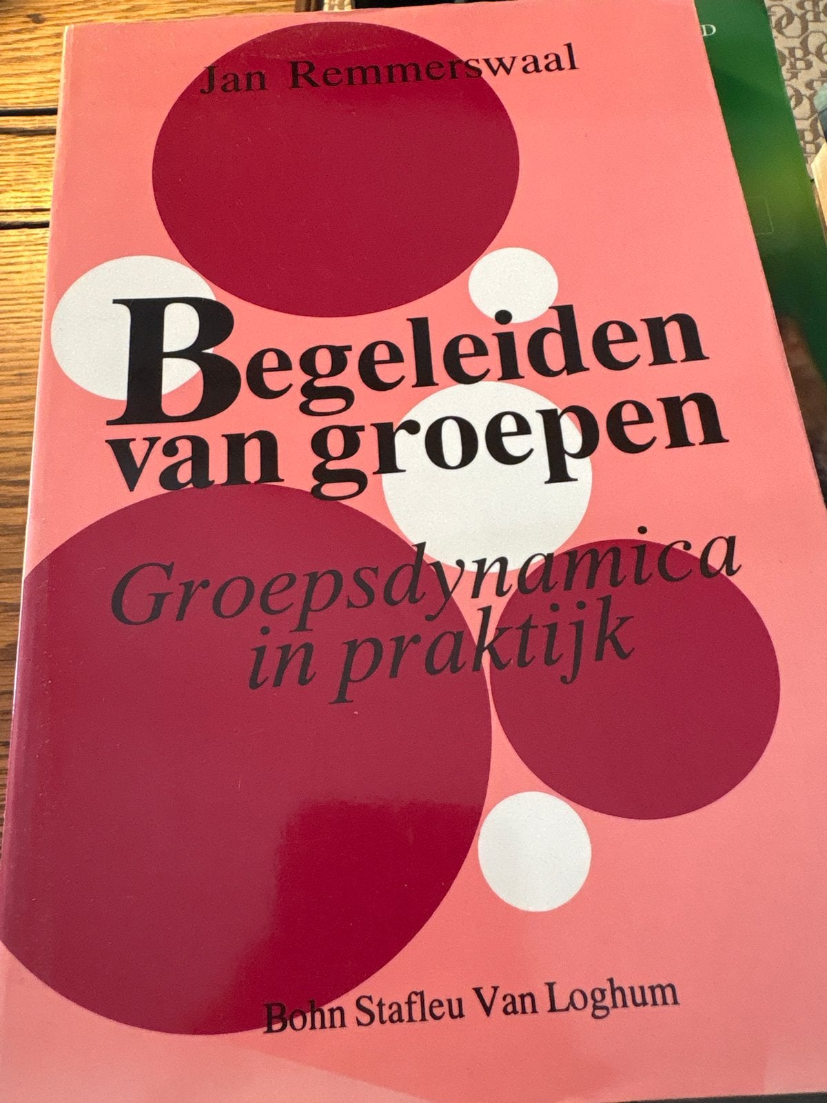 Begeleiden van groepen - Groepsdynamica in praktijk, Boeken, Ophalen of Verzenden, Gamma, Gelezen, HBO