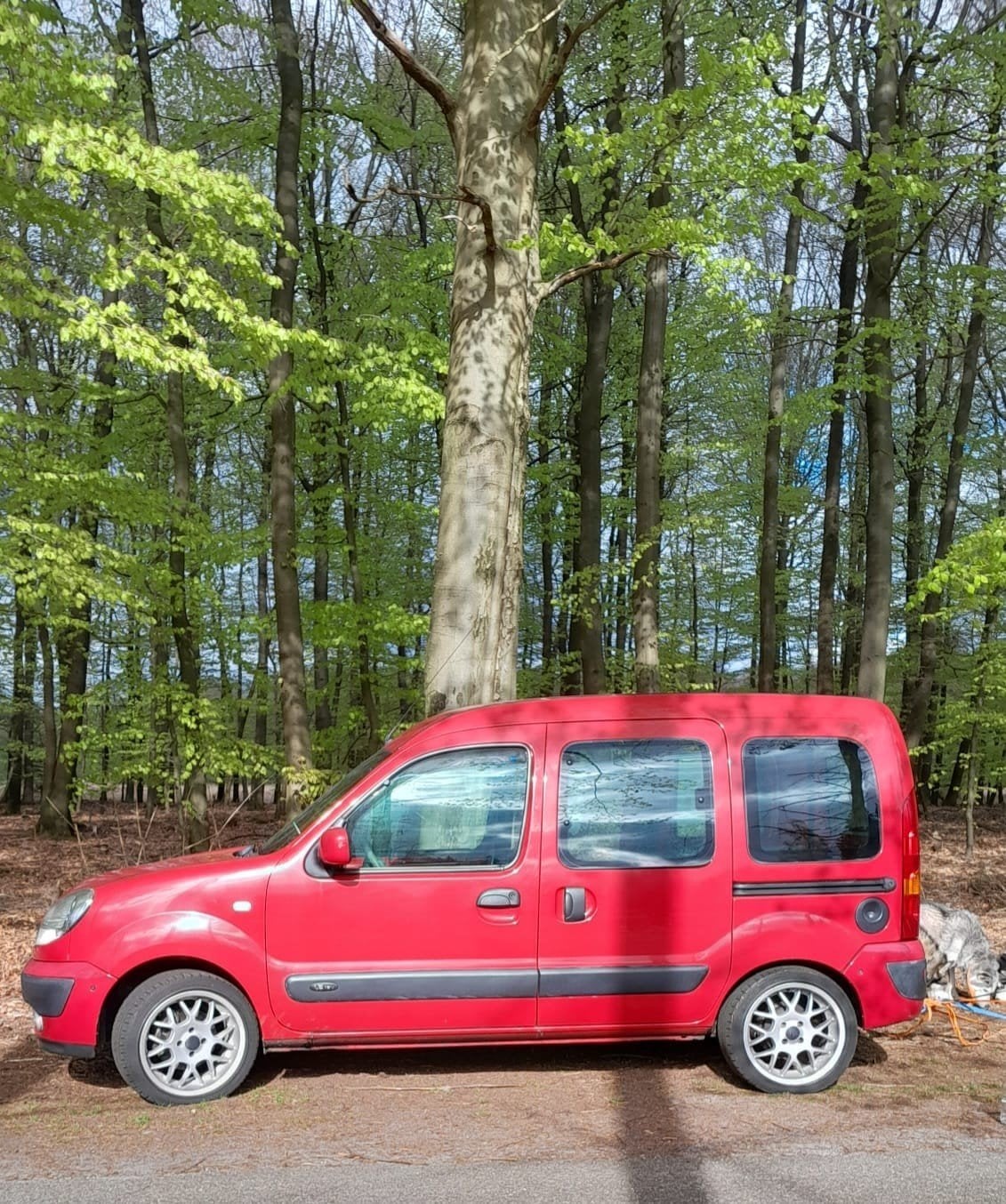 Renault Kangoo 1.2 16V 2007 Rood in nieuwstaat met 119.000km, Auto's, Voorwielaandrijving, 4 cilinders, Handgeschakeld, Kangoo