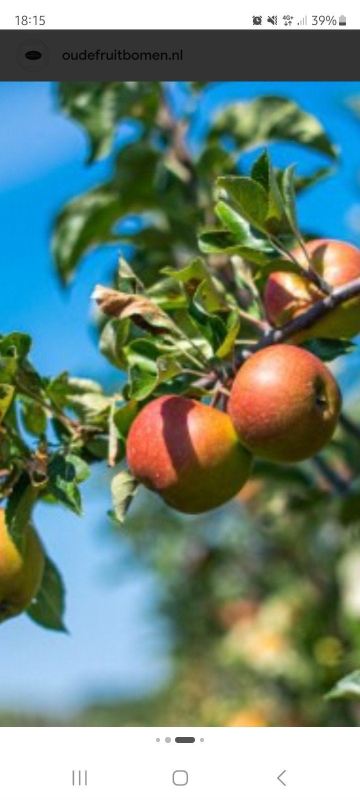 Fruitbomen ( hobbykweker), Ophalen, Appelboom, Lente